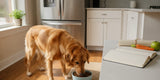 Dog eating from a bowl beside a notebook and veterinary diet plan