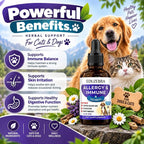 A bottle of Eduzebra Allergy & Immune herbal pet supplements is shown in front of a golden retriever and a tabby cat, with promotional text and icons about immune support, skin irritation, digestive function, and natural ingredients.