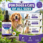 Promotional product graphic for the Eduzebra Allergy & Immune herbal pet supplement. The amber dropper bottle is shown on the left, alongside a golden retriever and a tabby cat on the right, with dosage guidance for pets of all sizes and feature icons at the bottom.