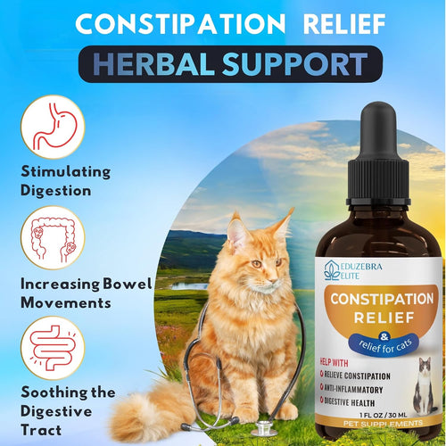Cat with stethoscope, bottle of constipation relief for cats, and scenic background