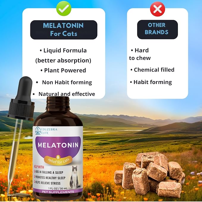 Melatonin supplement for cats with a scenic background