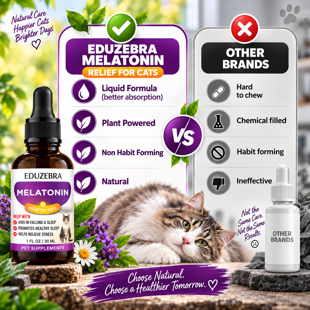 Calming Melatonin Drops for Cats
