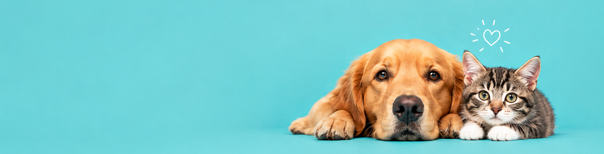Join Our Pet Family