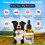 Collagen supplement bottle with a dog in a scenic outdoor setting, promoting nail and claw strength.