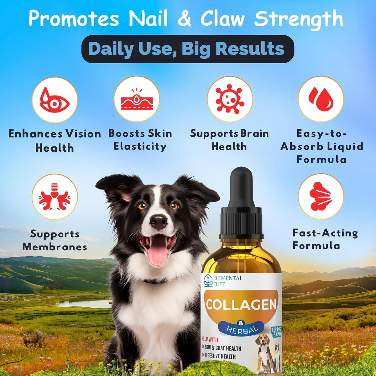 Collagen supplement bottle with a dog in a scenic outdoor setting, promoting nail and claw strength.