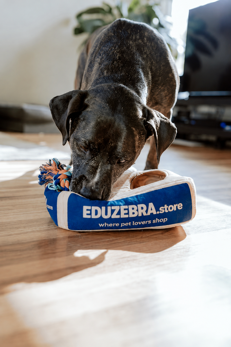A black dog is playing with a blue and white textured dog toy on a wooden floor. The toy has the text 'EDUZEBRA.