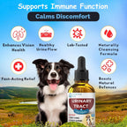 Dog with a bottle of 'Urinary Tract Herbal' supplement against a scenic background