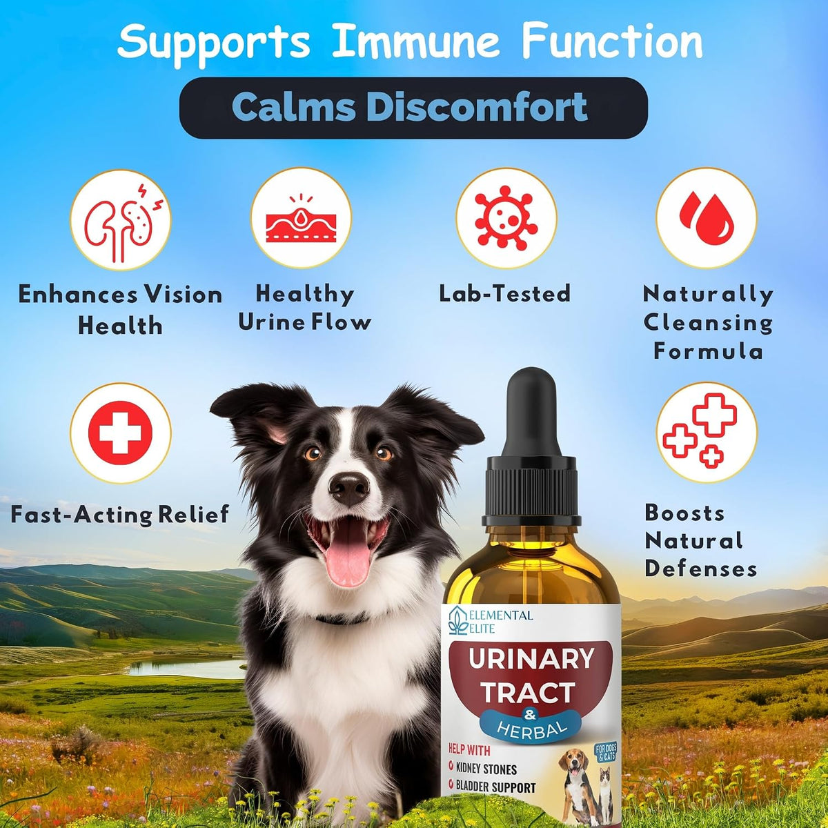 Dog with a bottle of 'Urinary Tract Herbal' supplement against a scenic background