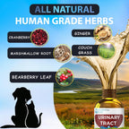 Bottle of 'Urinary Tract' supplement with natural herbs and scenic background