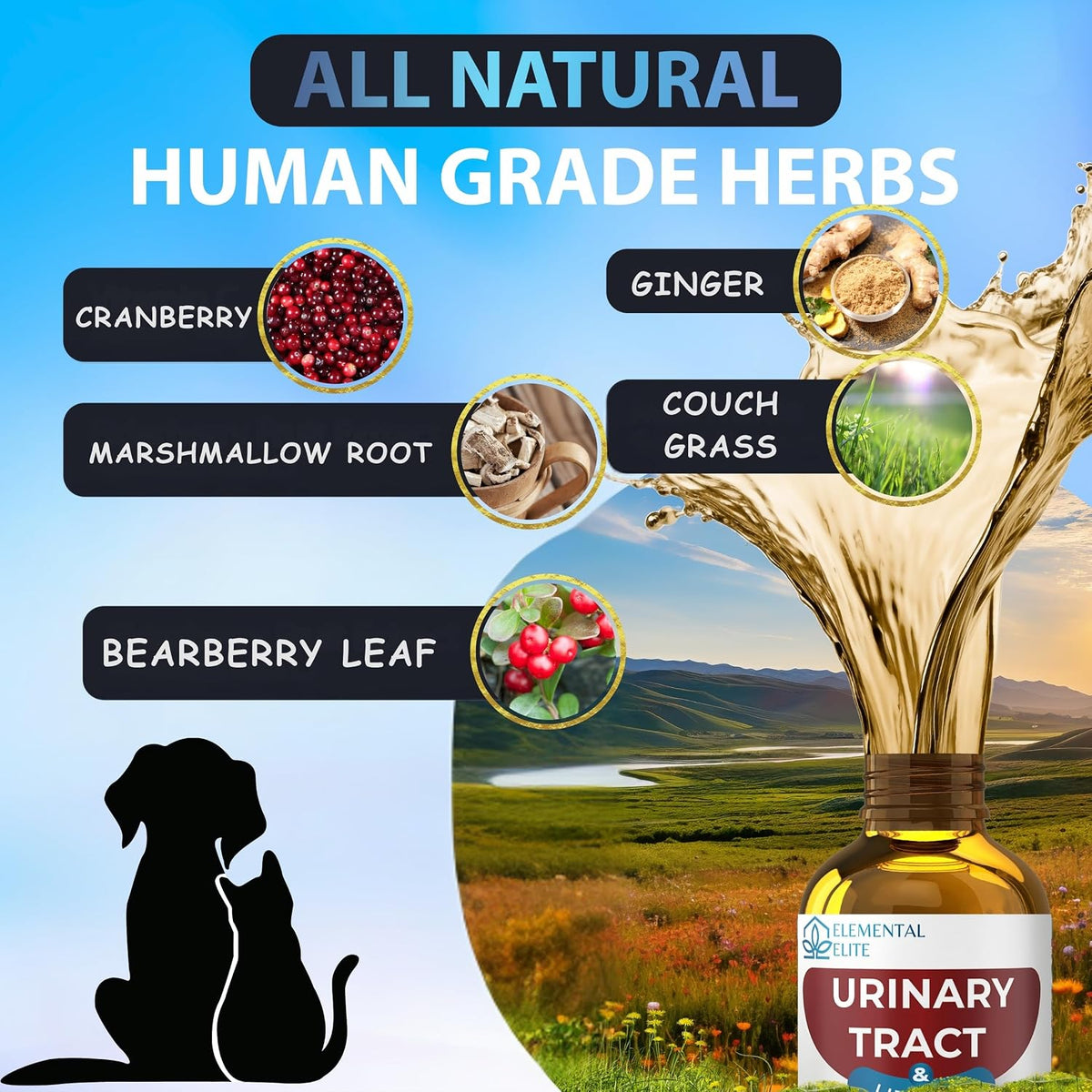 Bottle of 'Urinary Tract' supplement with natural herbs and scenic background