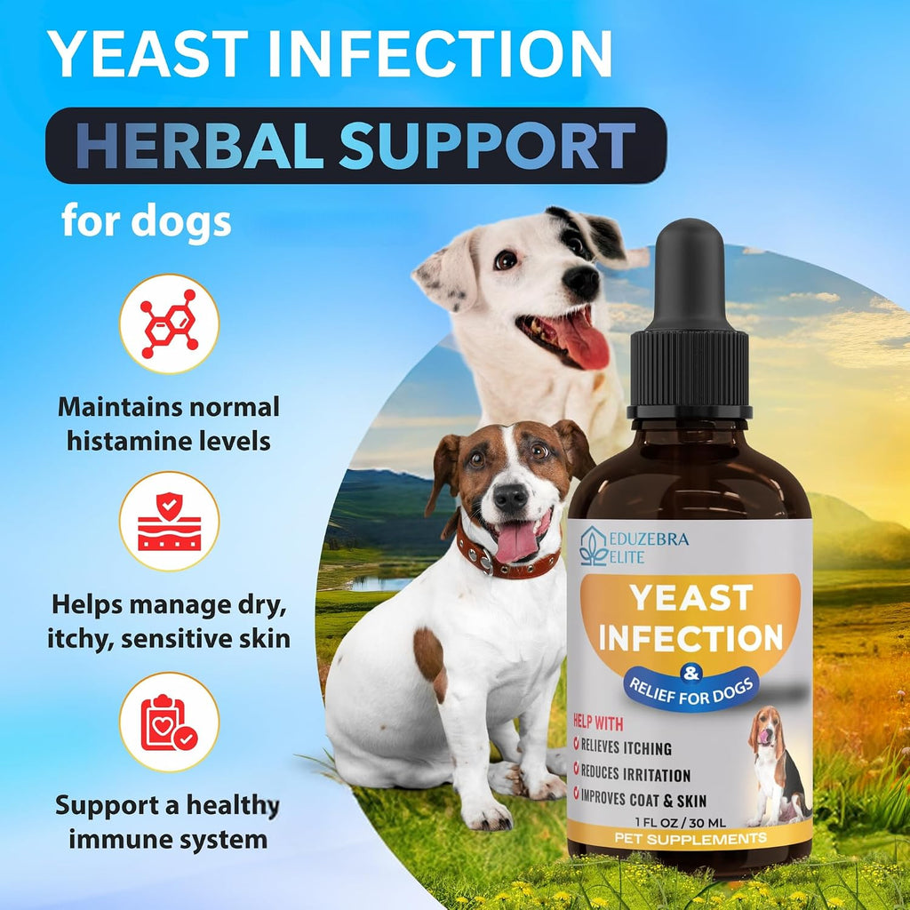 Pet supplement bottle for yeast infection support with dogs on a grassy field background