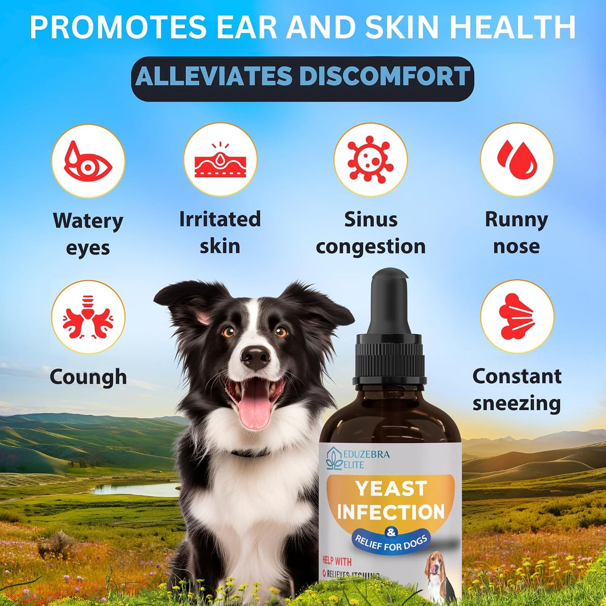 A bottle of DogZebra Yeast Infection & Relief for Dogs is shown in front of a black and white dog, with text and icons highlighting symptoms like watery eyes, irritated skin, sinus congestion, runny nose, cough, and constant sneezing against a scenic landscape background.