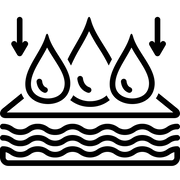 Fast Absorption